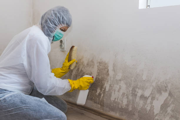 Best Crawl Space Mold Removal  in Tappan, NY
