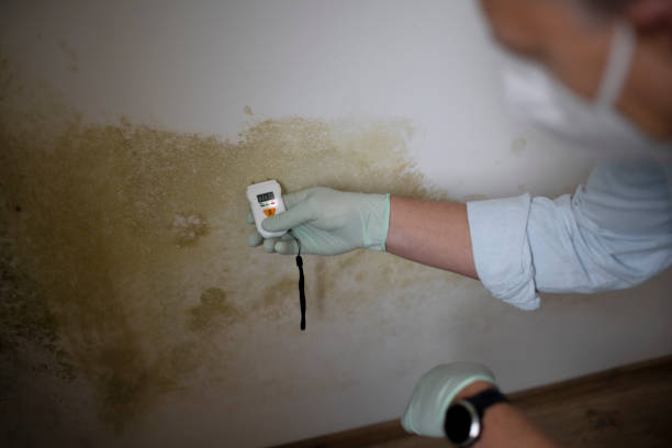 Crawl Space Mold Removal in Tappan, NY